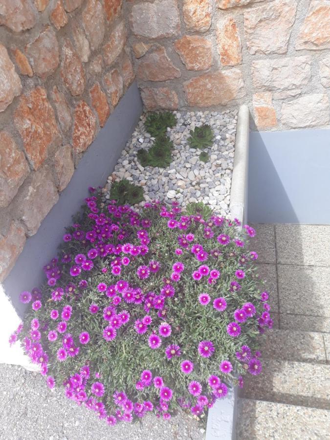 Villa Mihaela - Apartment Ana Cesarica Exterior foto